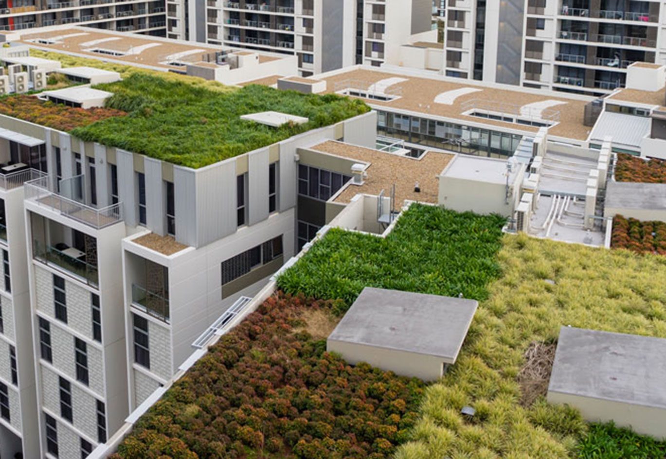 Gebäude mit Dachbegrünung. Visualisiert das Projekt Klimaplan Bochum 2035.